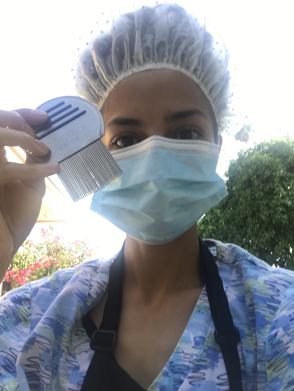 How To A Head Lice Technician Blog